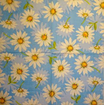346 Daisies - 3-ply - CS