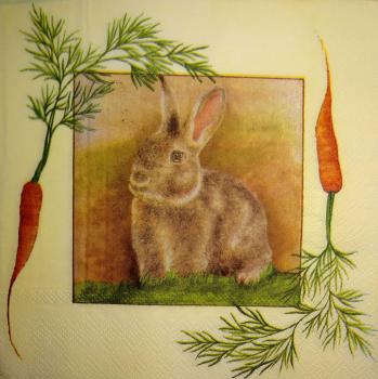 030 Rabbits:  natürlich - 3-ply - (yellow) - Ambiente