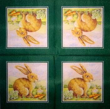 046 Rabbits:  natürlich - 3 ply (grün)
