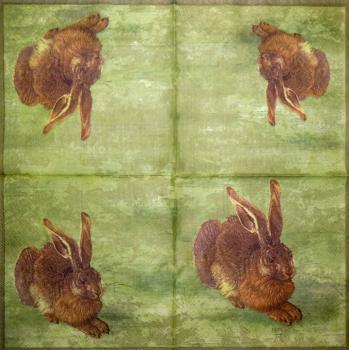 066 Hasen: natürlich - 3-lagig (gelbgrün) - Ihr - Dürer Hase