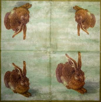 066 Hasen: natürlich - 3-lagig (hell grün) - Ihr - Dürer Hase