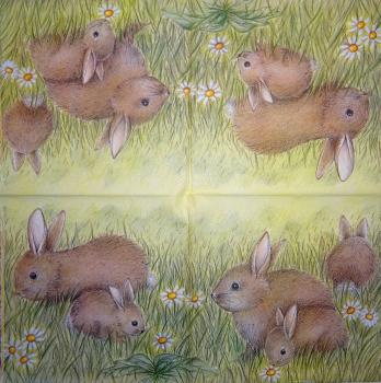 068 Rabbits:  natürlich - 3-ply - (pale) - Ladies Mol / Molca