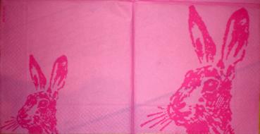 160 Rabbits:  natürlich - 3-ply (pink) - Artebene