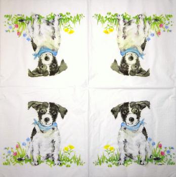 HUN-234 Dogs - 3-ply - ppd - Carola Pabst