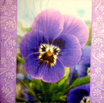 040 Stiefmütterchen, Violet - 3 ply