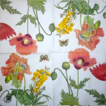 056 Narzissen - 3-lagig (weiß/blau) - Ihr