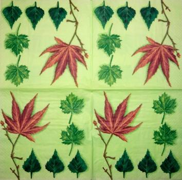 001 Plants - 3 ply - Molca