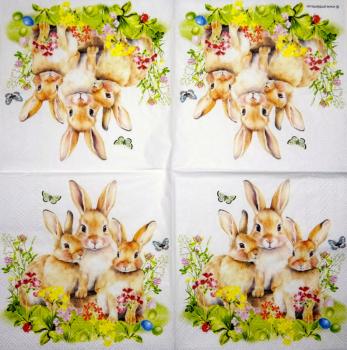 105 Hasen: natürlich - 3-lagig