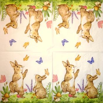 105 Hasen: natürlich - 3-lagig