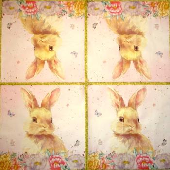 105 Hasen: natürlich - 3-lagig