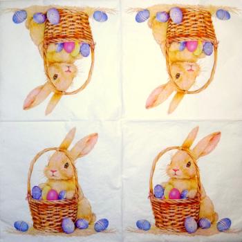 105 Hasen: natürlich - 3-lagig