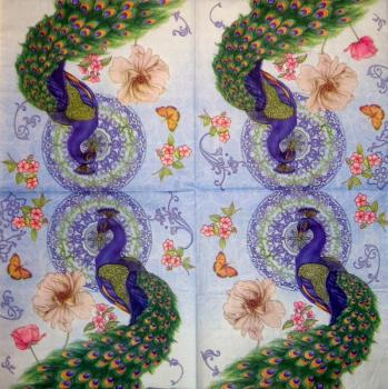 001 Pfau - 3-lagig - Adriana Cirstea