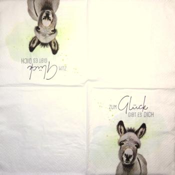 303 Text - 3-lagig - Design House