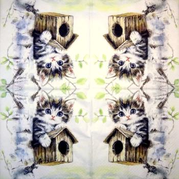 299 Katzen - 3-lagig