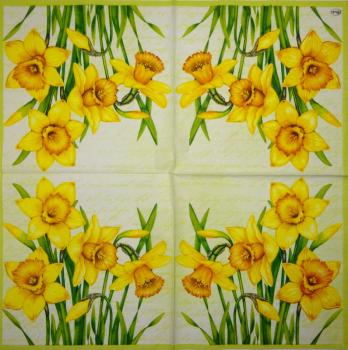 108 Daffodils - 3 ply - Home Fashion
