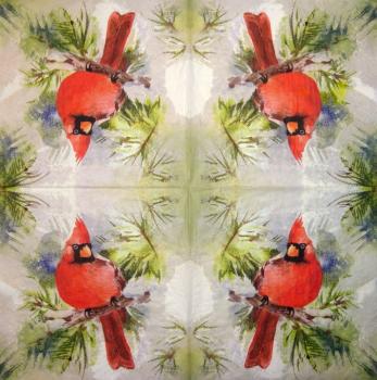 179 Vögel - 3-ply - Montgomery