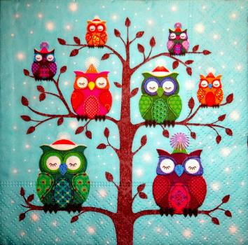 046 Owls - 3-ply - CS