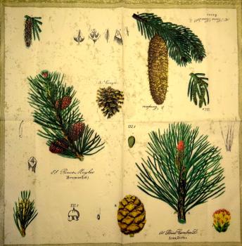 156 Christmas Flowers - 3-ply - Ambiente