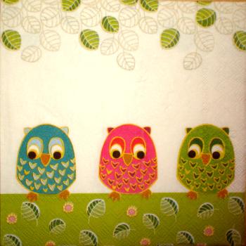 069 Owls - 3-ply (grün) - Ihr - CS