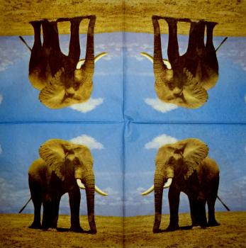 060 Elephant - 3-ply - (gold) - ppd