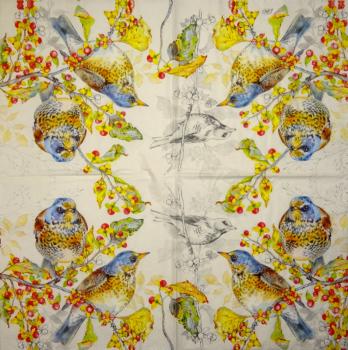 035 Vögel - 3-ply - Ihr