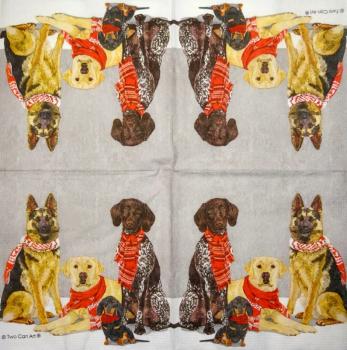 HUN-778 Dogs - 3-ply - ppd - Two Can Art - CS