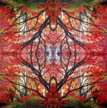 001 Pflanzen - 3 lagig - Molca