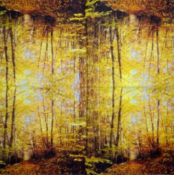 001 Pflanzen - 3 lagig - Molca