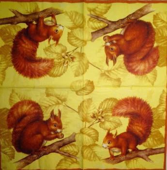 029 Eichhörnchen - 3-ply (yellow) - Ihr