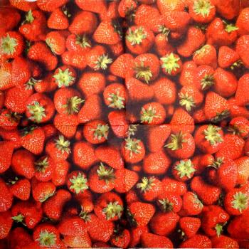 BEE-405 Beeren - 3-lagig - SIA