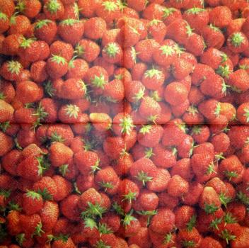BEE-406 Beeren - 3-lagig