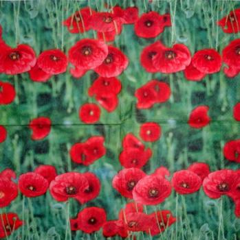 126 Anemones, Poppy - 3-ply