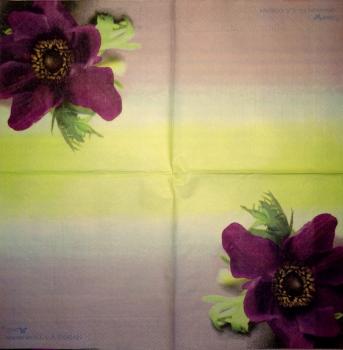 200 Anemones, Poppy - 3-ply - Chris Piper