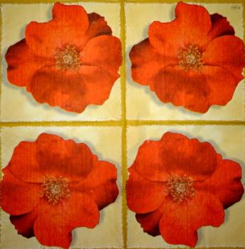 200 Anemones, Poppy - 3-ply - Chris Piper