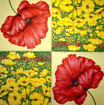 200 Anemones, Poppy - 3-ply - Chris Piper