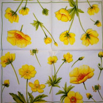 200 Anemonen, Mohn - 3-lagig - Chris Piper