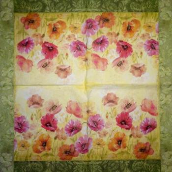 121 Anemones, Poppy - 3-ply (weiß) - Maki