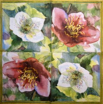045 Anemonen, Mohn - 3-lagig - Home Fashion