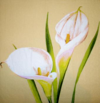 011 Calla - 3-lagig (11)