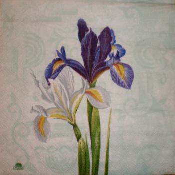 012 Lilies