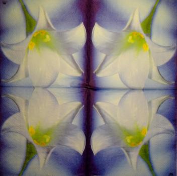 121 Lilies - 3-ply - Fasana