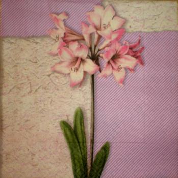 023 Lilies