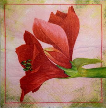 043 Lilies - 3 ply