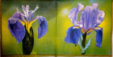 045 Lilies - 3 ply - (purple)