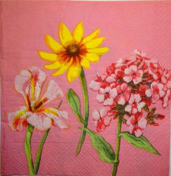049 Lilies - 3 ply