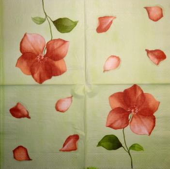 128 Magnolien - 3-lagig - Ihr - CS