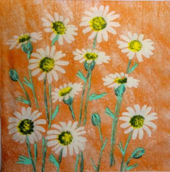 112 Daisies  - 3 ply