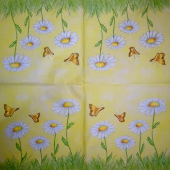 123 Daisies - 3-ply