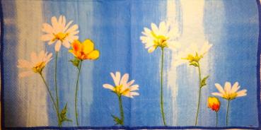 142 Daisies  - 3-ply - Ihr