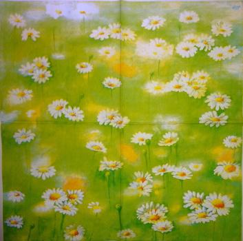 152 Daisies  - 3 ply - Ihr
